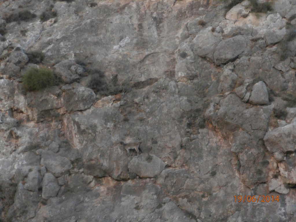 HOMMAGE A N.D. DE SANTA CRUZ A DALIAS 14 ET 15 JUIN 2014 (192).JPG
